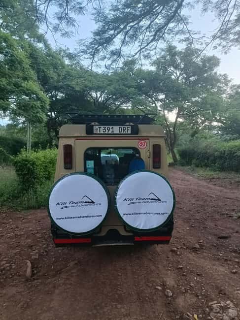 Zanzibar: Mikumi National Park Day Trip with Flights - The Itinerary in Detail