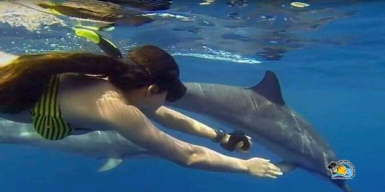 Zanzibar: Mnemba Atoll Dolphins Tour and Sunset Dhow Cruise - Authentic Experiences and Traveler Insights