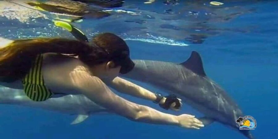 Zanzibar: Mnemba Atoll Dolphins Tour and Sunset Dhow Cruise - Authentic Experiences and Traveler Insights