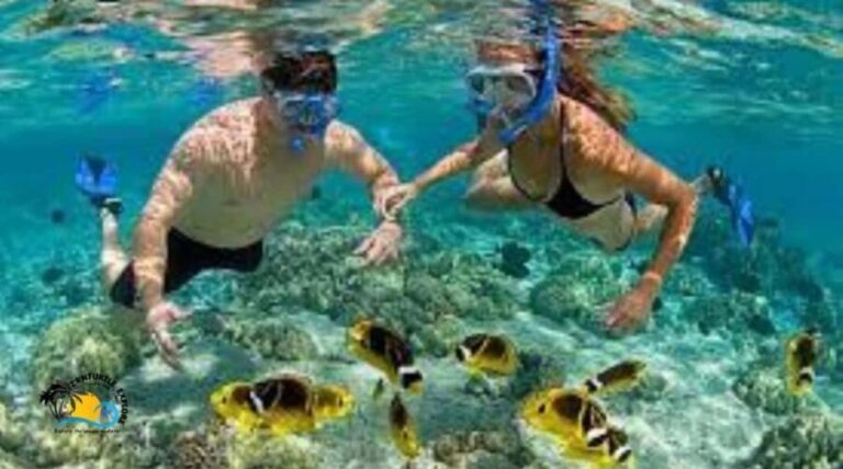 Zanzibar: Mnemba Atoll Trip and Dolphin Snorkel Experience - What’s Included and What to Keep in Mind