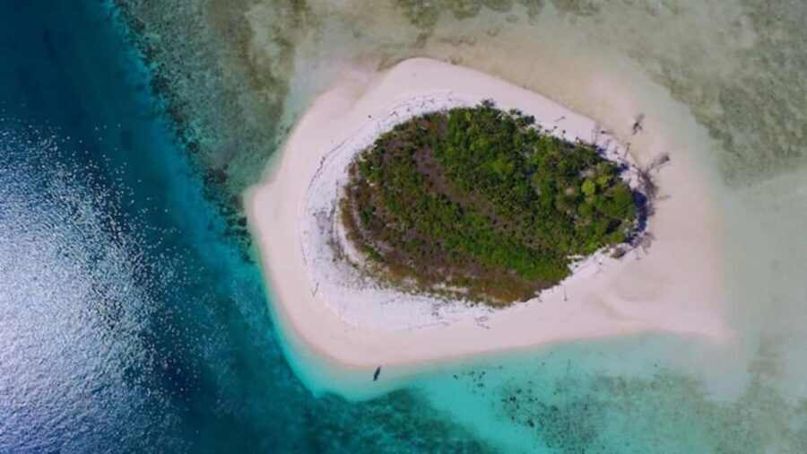Zanzibar: Mnemba Dolphin tour at African Maldives - Who Will Love This Experience?