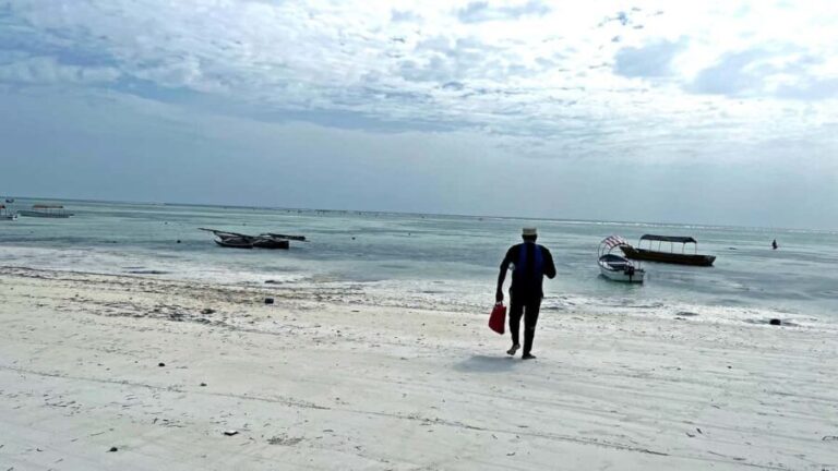 ZANZIBAR: MNEMBA ISLAND DOLPHIN AND SNORKELING - The Practical Details