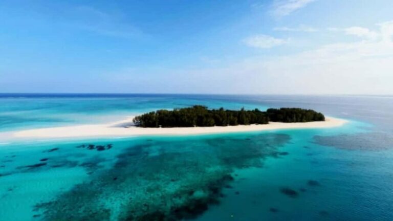 Zanzibar: Mnemba Island Dolphin and Snorkeling Tour - Real Travelers’ Perspectives