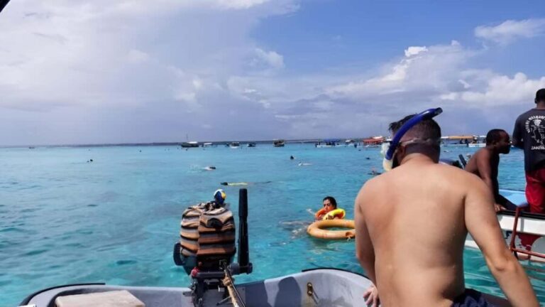 Zanzibar: Mnemba Island & Dolphin Swim with option lunch - A Detailed Look at the Tour Experience