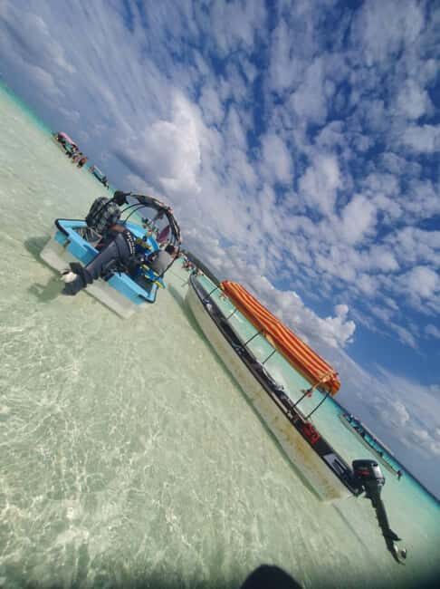 Zanzibar: Mnemba Island Dolphin Watching and Sunset Cruise - What To Expect: A Step-by-Step Breakdown