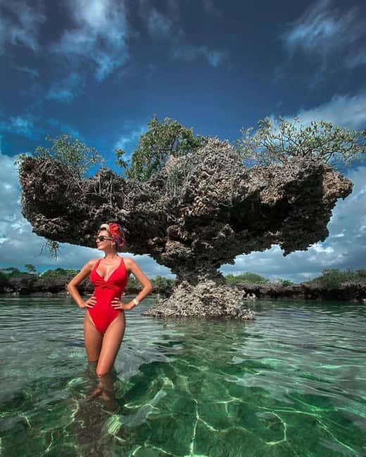 Zanzibar: Mnemba island for snorkeling from Nungwi Beach - What Makes This Tour Stand Out?