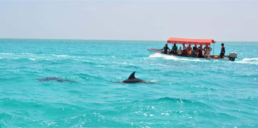 Zanzibar: Mnemba Island Private Snorkeling Tour and Pickup - FAQs