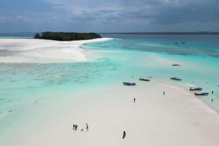 Zanzibar: Mnemba Island Snorkeling and Dolphin Adventure - What Folks Are Saying