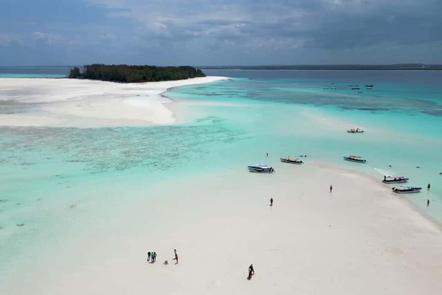 Zanzibar: Mnemba Island Snorkeling and Dolphin Adventure - What Folks Are Saying