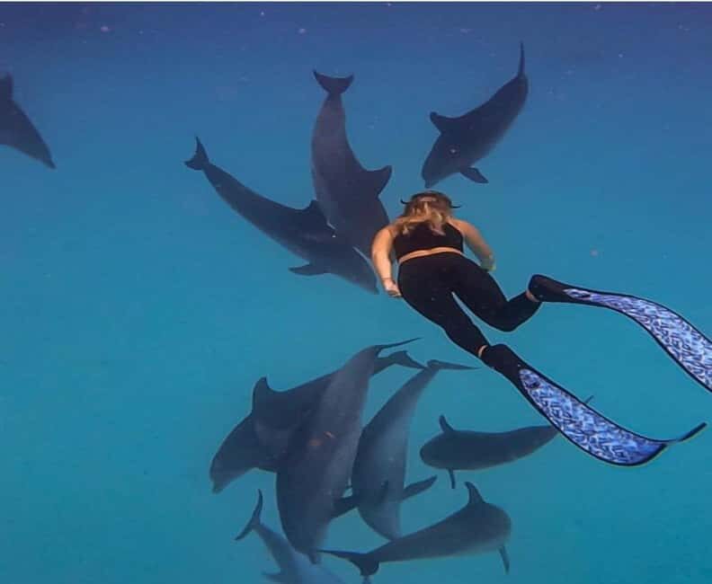 Zanzibar: Mnemba Island Snorkeling and Dolphin Watching