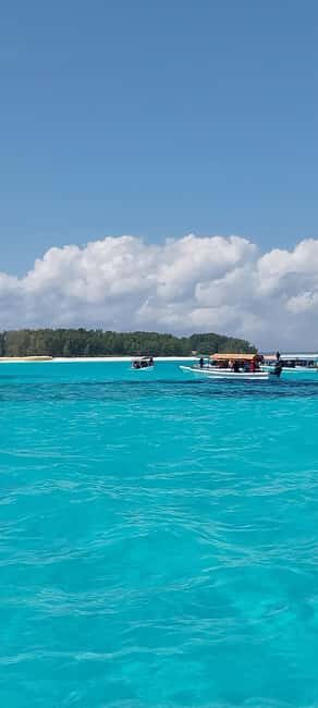 Zanzibar: Mnemba Island Snorkeling & Dolphin - What to Expect on the Day