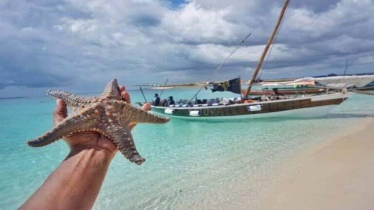 Zanzibar: Mnemba Island Snorkelling and Dolphin Tour. - Why This Tour Offers Good Value