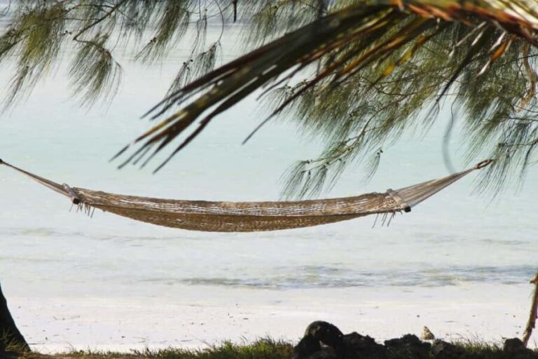 Zanzibar - Mnemba Island tour and Baraka aquarium - turtles - What’s Included and What Not