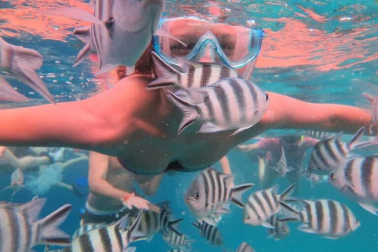Zanzibar: Mnemba Snorkeling and Dolphin Tour with Dhow Boat - The Sum Up