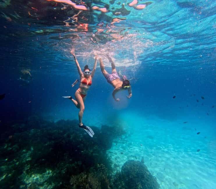 Zanzibar: Mnemba snorkeling, dolphin & Jozani Forest tour - Authentic Experiences and Traveler Perspectives