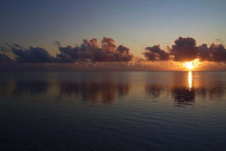 Zanzibar - Nakupenda beach full-day with lunch - A Closer Look at the Nakupenda Beach Full-Day Tour
