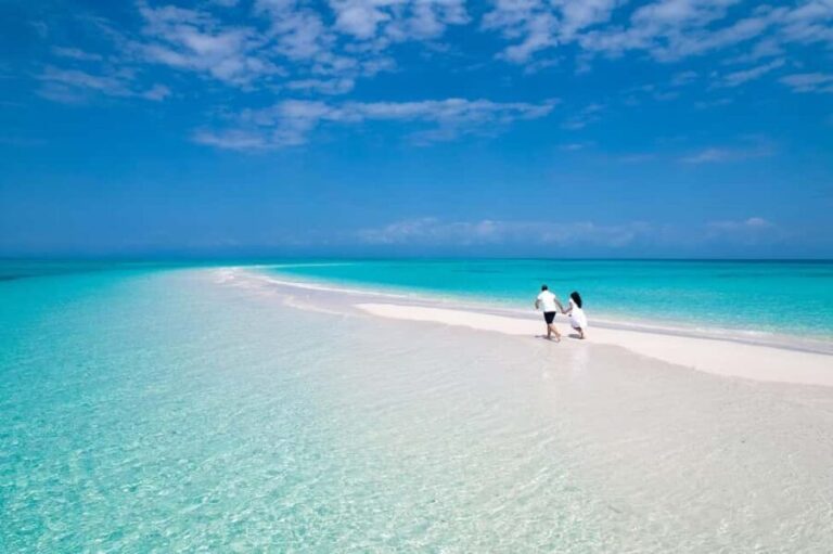Zanzibar: Nakupenda Sandbank Day Trip with Snorkeling - What’s Included and What’s Not