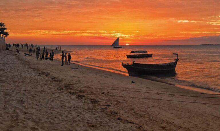 Zanzibar: Nungwi and Kendwa Sunset Dhow Cruise with Transfer - What to Expect During the Tour