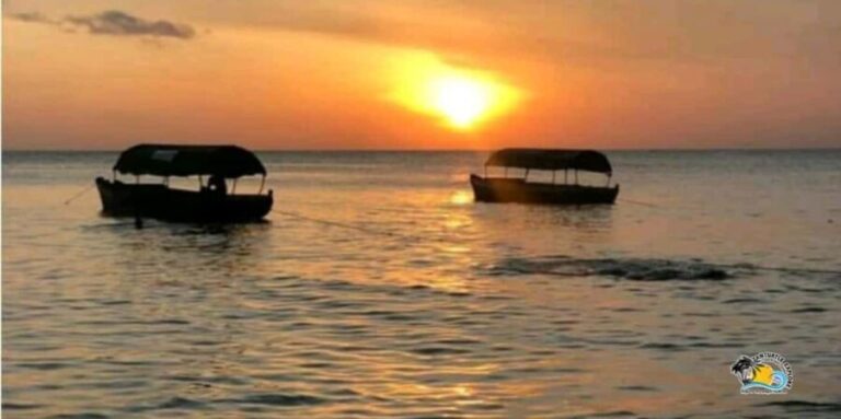 Zanzibar: Nungwi/Kendwa Beach Sunset Dhow Cruise with Fruits - Who Should Consider This Tour?