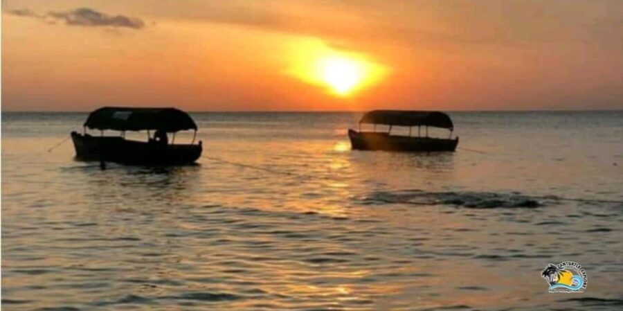 Zanzibar: Nungwi/Kendwa Beach Sunset Dhow Cruise with Fruits - Who Should Consider This Tour?