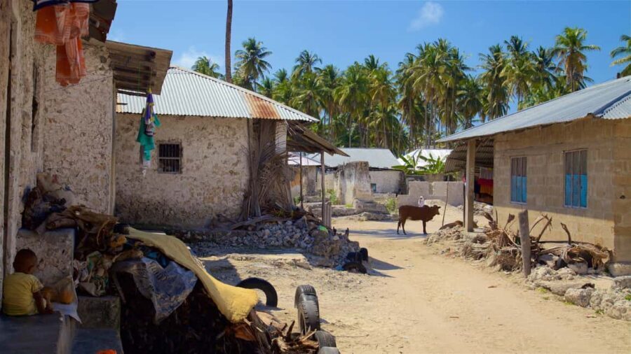 Zanzibar: Paje Village Tour - Final Thoughts: Who Should Consider This Tour?