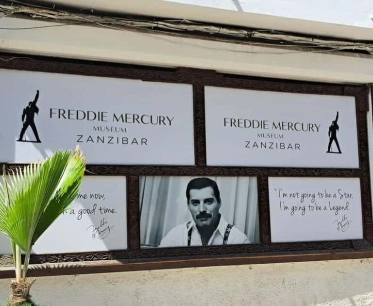 Zanzibar: Prison Island and Stone Town tour - Who should consider this tour?