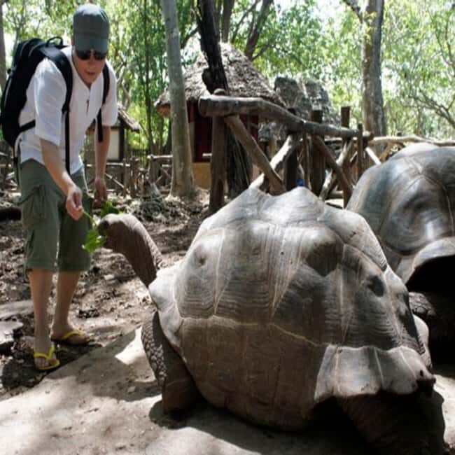 Zanzibar: Prison Island, Jozani Forest & Mtende beach tour - Practical Details
