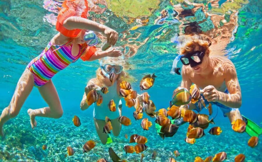 Zanzibar: Prison Island, Nakupenda, Stone Town Trip with BBQ - Practical Details and Value