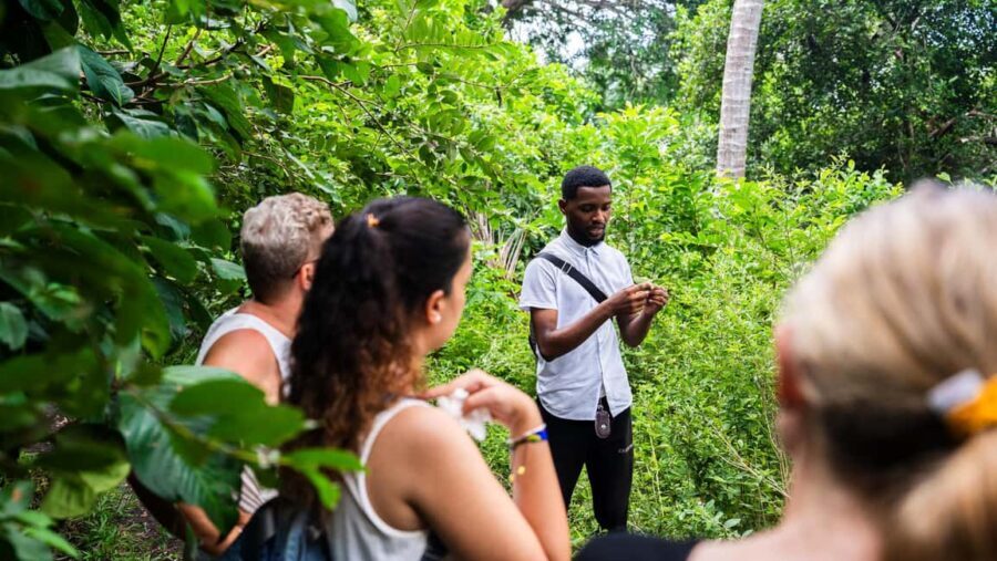 Zanzibar: Prison Island, Tortoise, Jozani Forest Guided Tour - Authenticity and Tips for Travelers