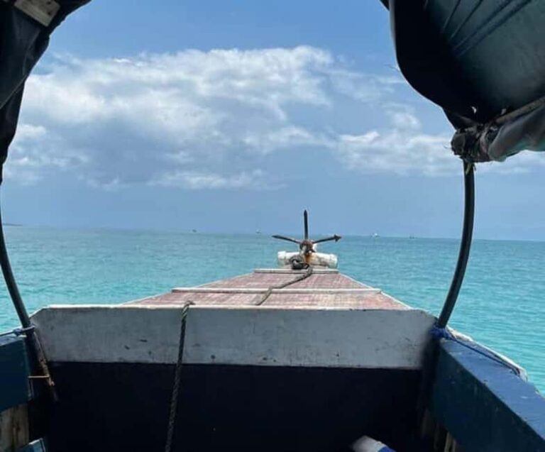 Zanzibar: Prison Island Tour with Tortoise Sanctuary - The Experience — What Travelers Say