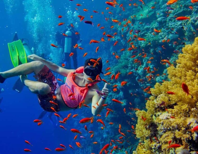Zanzibar: Private Full-day Safari Blue Trip with BBQ Lunch - What To Expect: A Day of Authentic Ocean Exploration