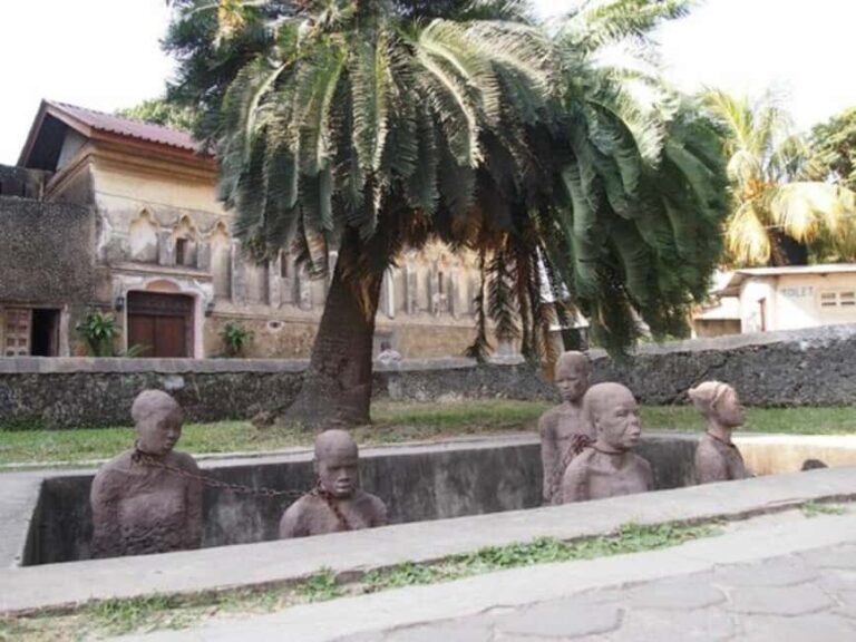 Zanzibar: Private Stone Town, Prison Island & SpiceFarm Tour - Who Will Enjoy This Tour?