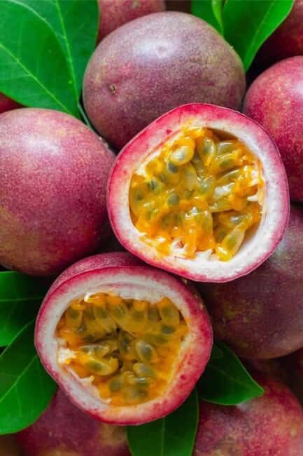 Zanzibar: Private Stone Town Walking Tour and Spice Farm - The Spice Farm: Aromas of Zanzibar