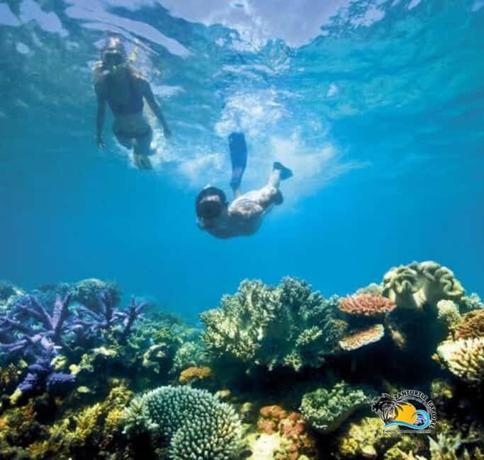 Zanzibar: Pungume Island Snorkeling & Dolphins Trip - Analyzing the Value