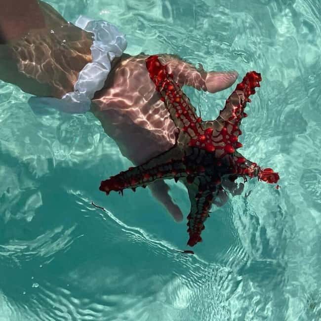 Zanzibar: Pungume Island Snorkeling & Sandbank with Lunch - Why This Tour Offers Good Value