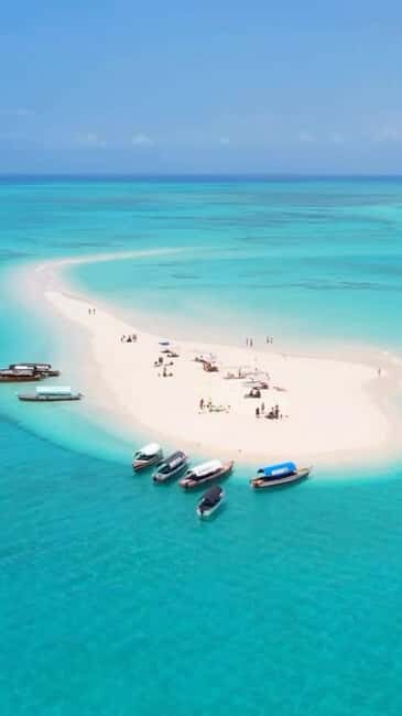 ZANZIBAR: Pungume Island Snorkeling & Sandbank+BBQ - Who Will Love This Tour?
