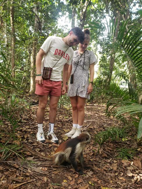 Zanzibar: Red Colobus Monkeys in Jozani Forest Guided Tour - Who Will Love This Tour?