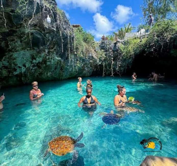 Zanzibar: Red Columbus monkey, Salam Cave and Mtende beach - What to Expect Throughout the Day
