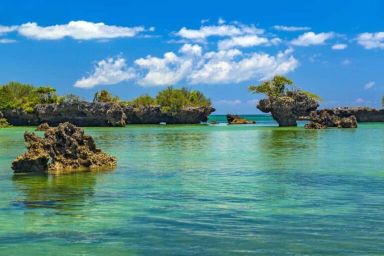 Zanzibar: Safari Blue Adventure Day Trip - Practicalities: What You Need to Know
