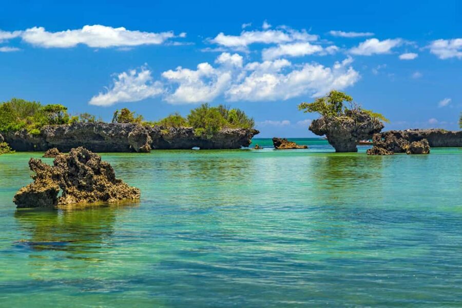Zanzibar: Safari Blue Adventure Day Trip - Practicalities: What You Need to Know
