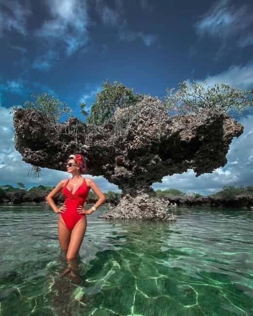 Zanzibar: safari blue adventure - What Makes It Worth the Price?