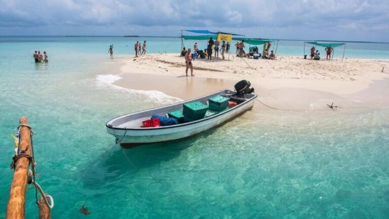 Zanzibar: Safari Blue Day trip with Snorkeling and Lunch - Whats Included & Whats Not