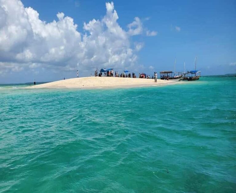 Zanzibar: Safari Blue Full-day Trip with Lunch - What Makes the Safari Blue Tour Special?