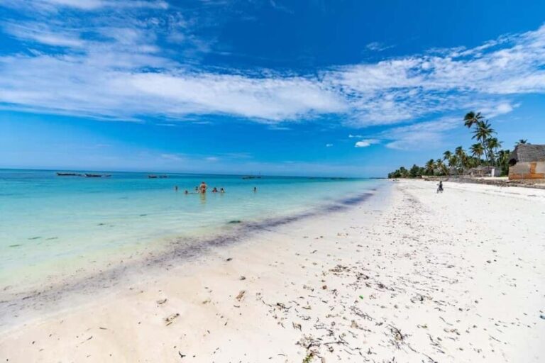 Zanzibar - Safari Blue private trip (full day) paradise - The Itinerary Breakdown