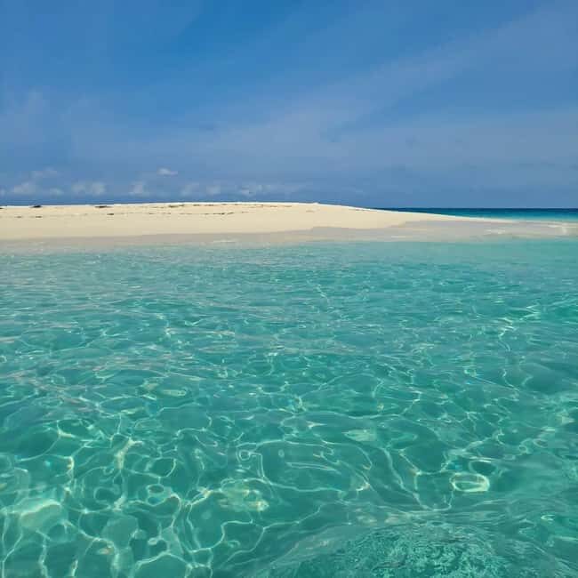 Zanzibar: safari blue snorkeling and sandbank - Why This Tour Resonates With Travelers