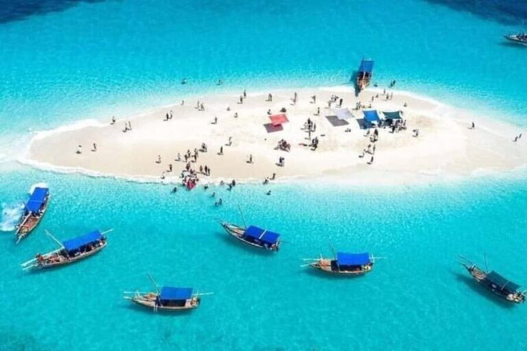 Zanzibar: Safari Blue Snorkeling Tour with Lunch - What Travelers Say