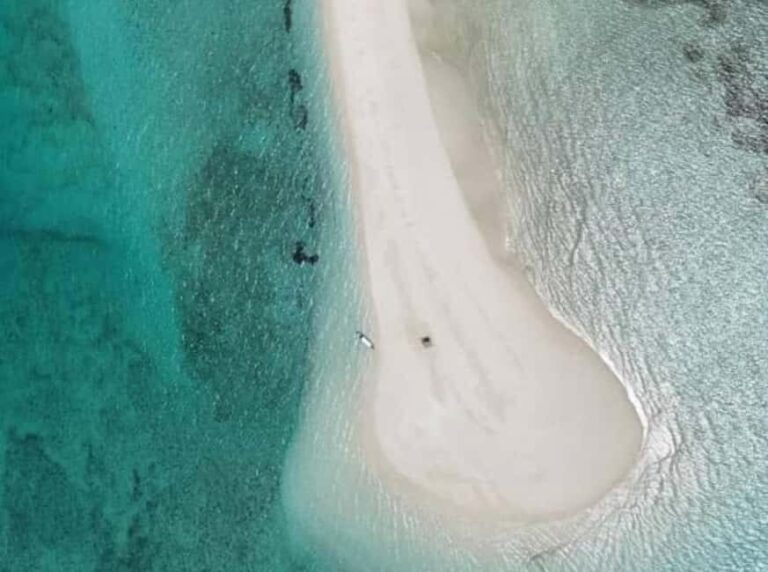 Zanzibar: Safari Blue Tour with Snorkeling and Lunch - Practical Details for Travelers