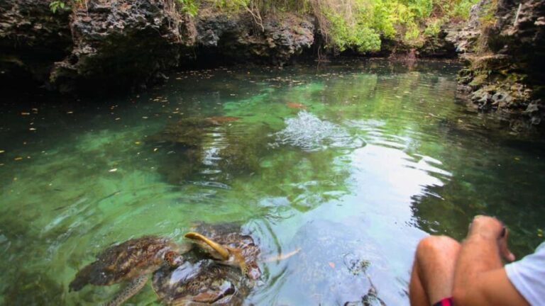 Zanzibar: Salaam Cave Swimming with Turtles Tour - Relaxing at the Cave and Photography