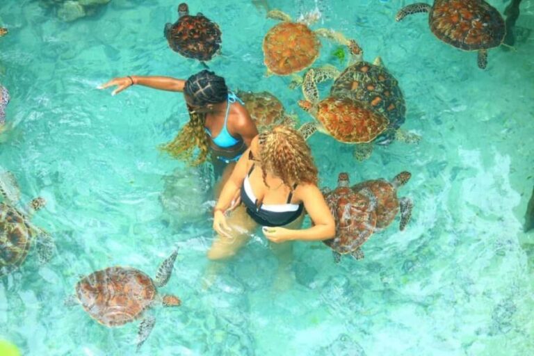 Zanzibar: Salaam Cave Swimming with Turtles Tour - Is This Tour Right for You?
