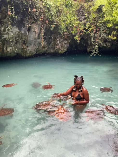 ZANZIBAR: Sea Turtles Salaam cave & Jozani Forest | half day - Frequently Asked Questions